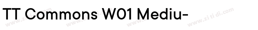 TT Commons W01 Mediu字体转换